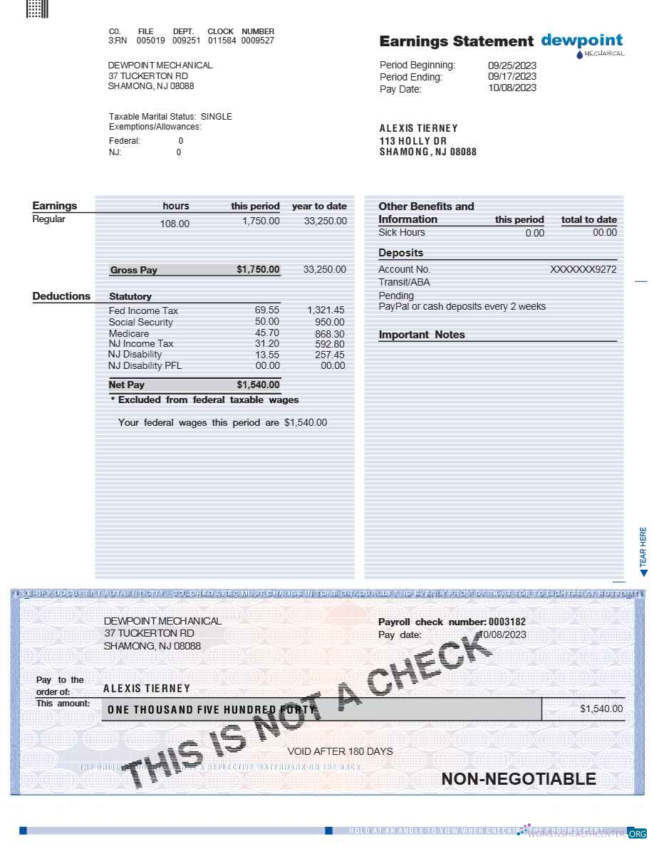 Download DEWPOINT MECHANICAL earnings statement template in Word and PDF formats.pdf, 1 Photoshop template